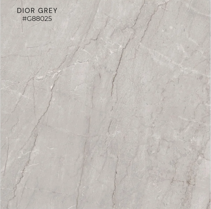 FTILES 800X800 DIOR GREY G88025