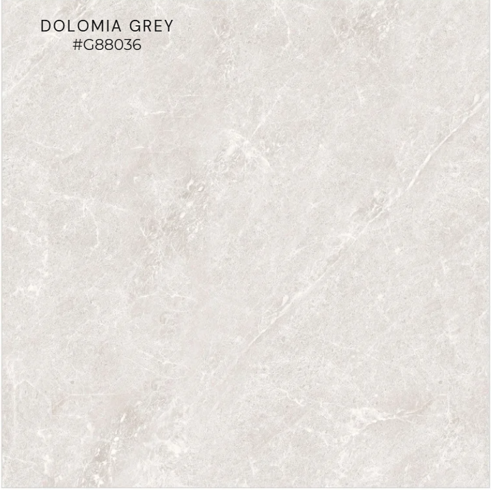 FTILES 800X800 DOLOMIA GREY G88036