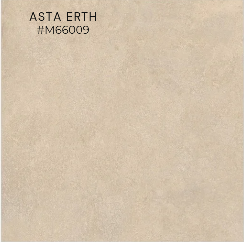 FTILES 600X600 ASTA ERTH M66009