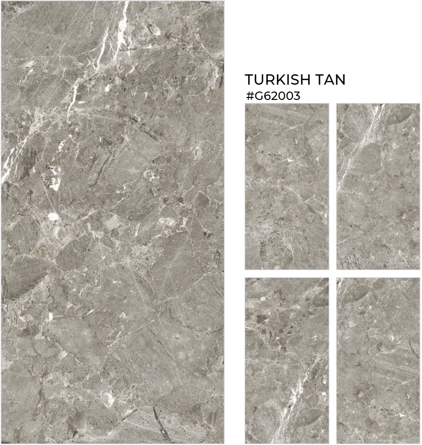 FTILES 600X1200 TURKISH TAN G62003