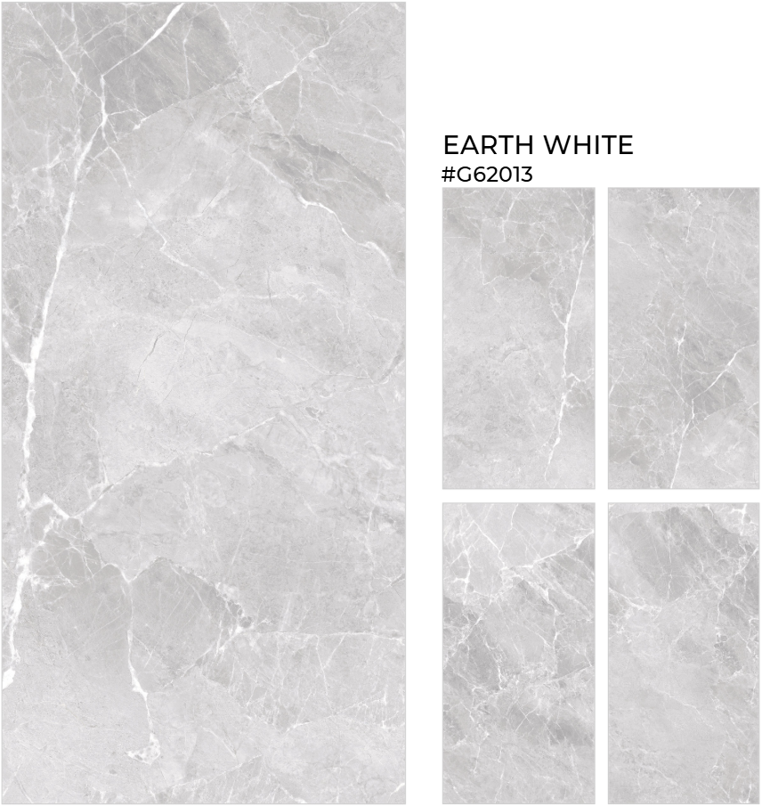 FTILES 600X1200 EARTH WHITE G62013