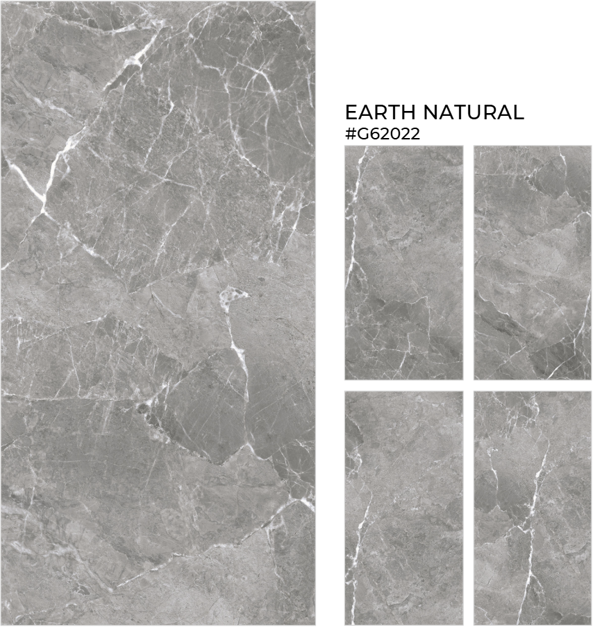 FTILES 600X1200 EARTH NATURAL G62022