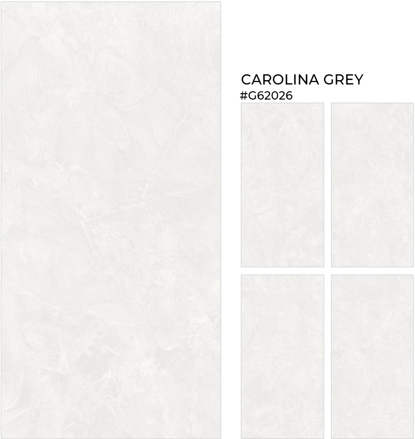 FTILES 600X1200 CAROLINA GREY G62026