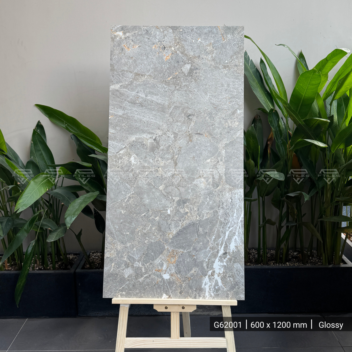 FTILES 600X1200 VERSACE GREY G62001