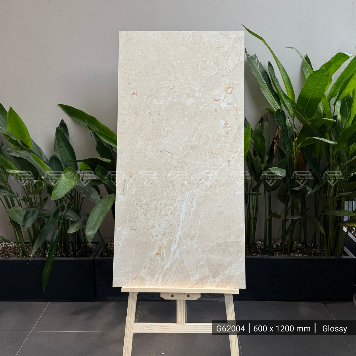 FTILES 600X1200 VERSACE BEIGE G62004