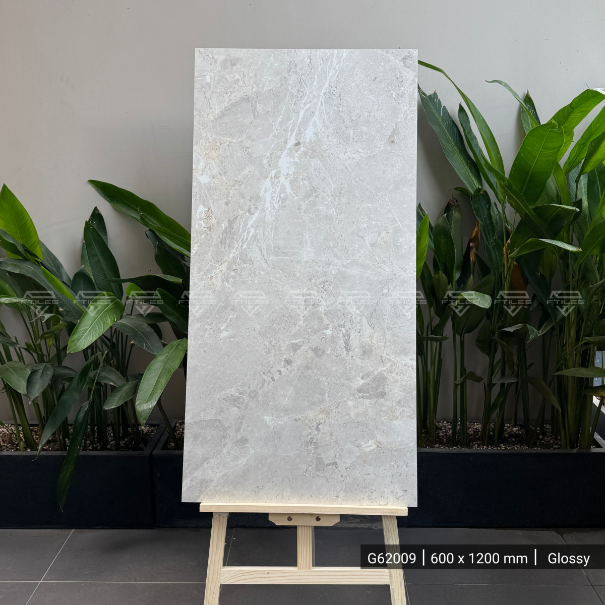 FTILES 600X1200 VERSACE PEARL G62009