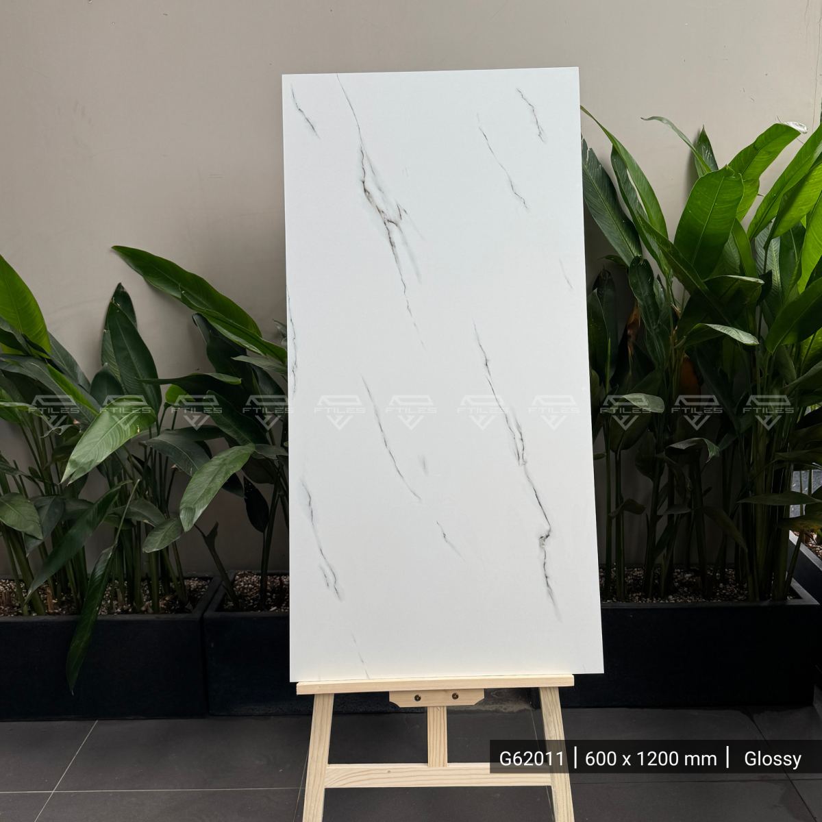 FTILES 600X1200 MANGUS WHITE G62011
