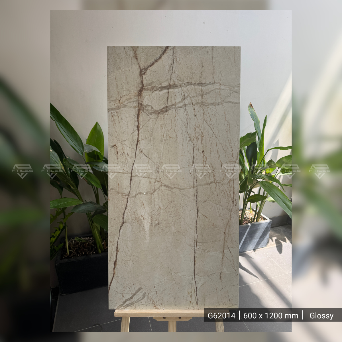 FTILES 600X1200 AVORIO G62014
