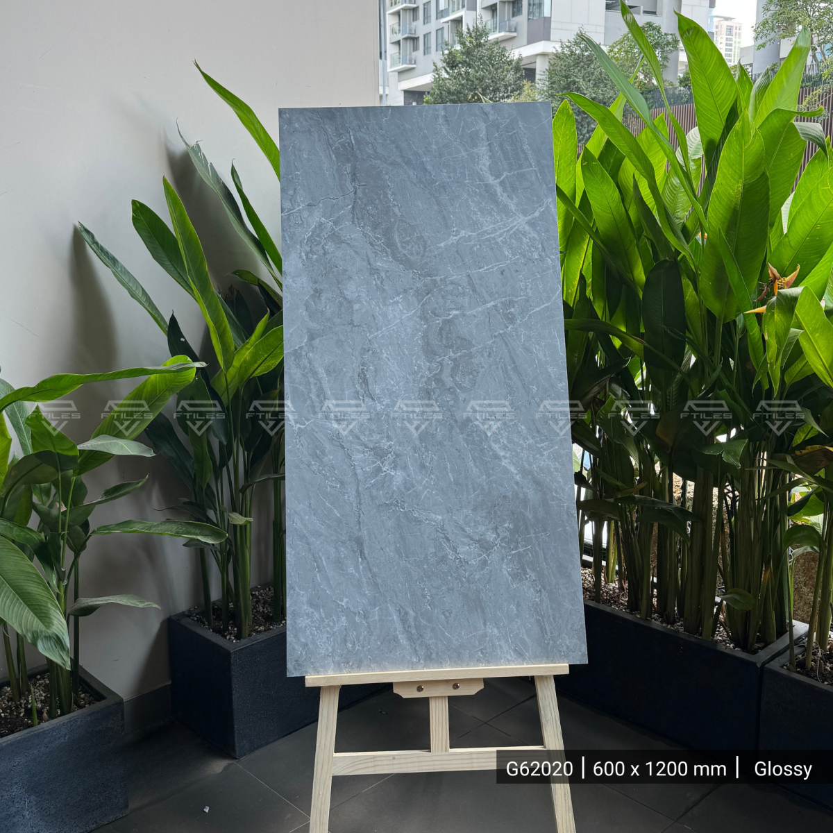 FTILES 600X1200 DENNY GREY G62020