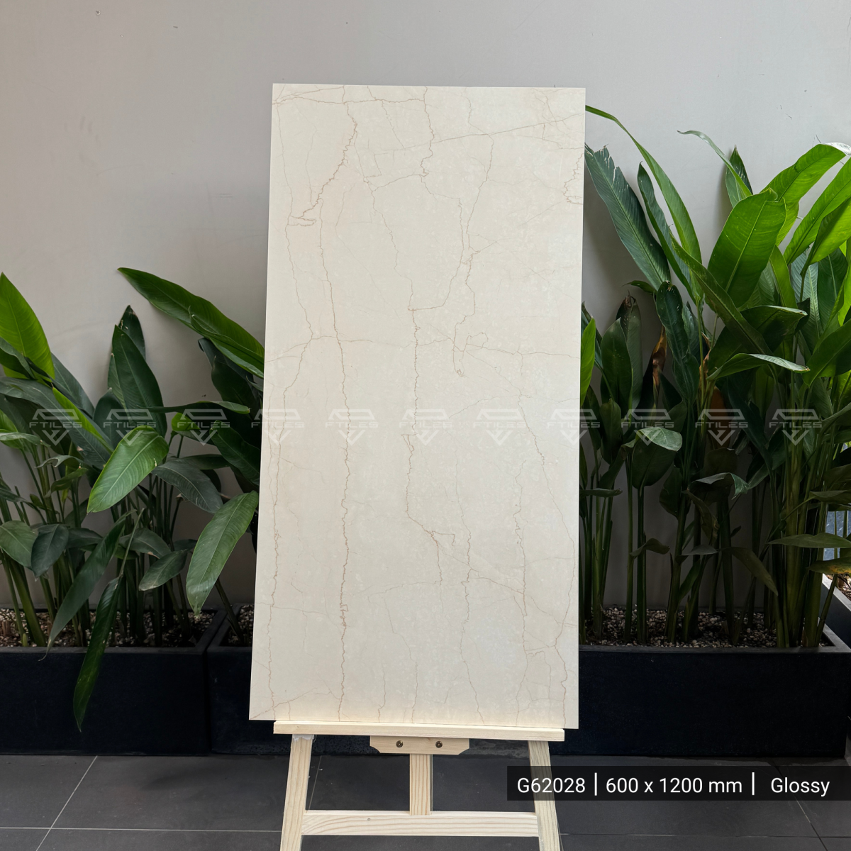 FTILES 600X1200 BOTTICHNO GOLD G62028