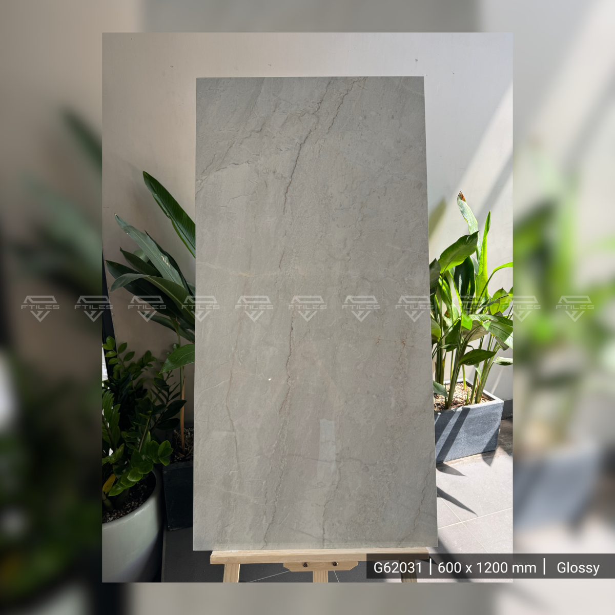 FTILES 600X1200 CANOVA PEARL G62031