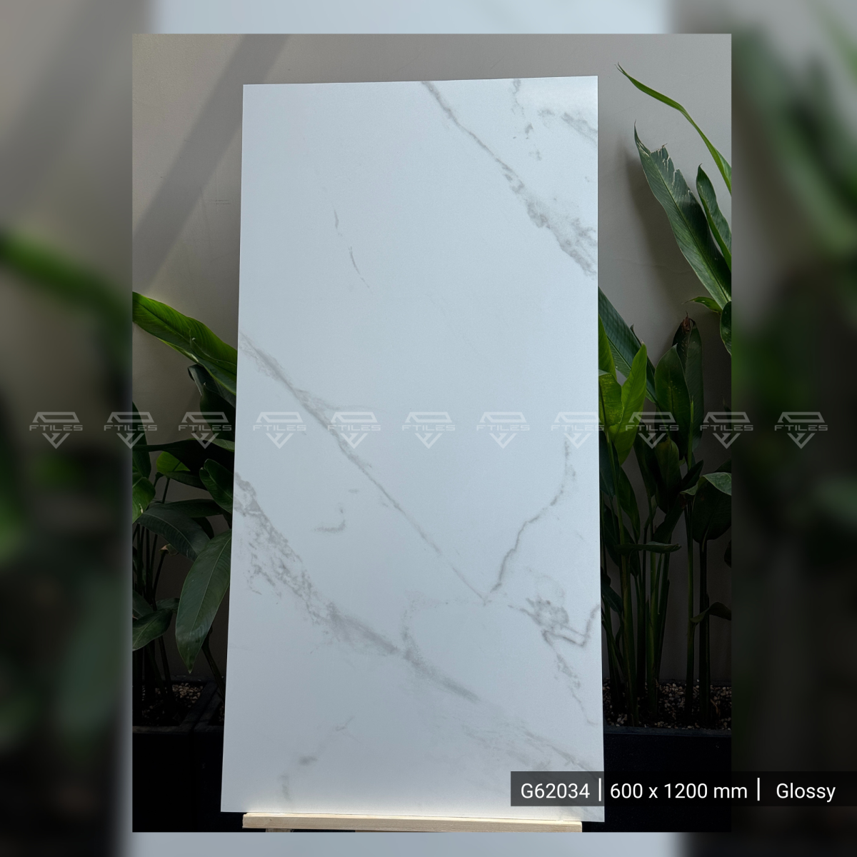 FTILES 600X1200 STATUARIO PULIDO G62034