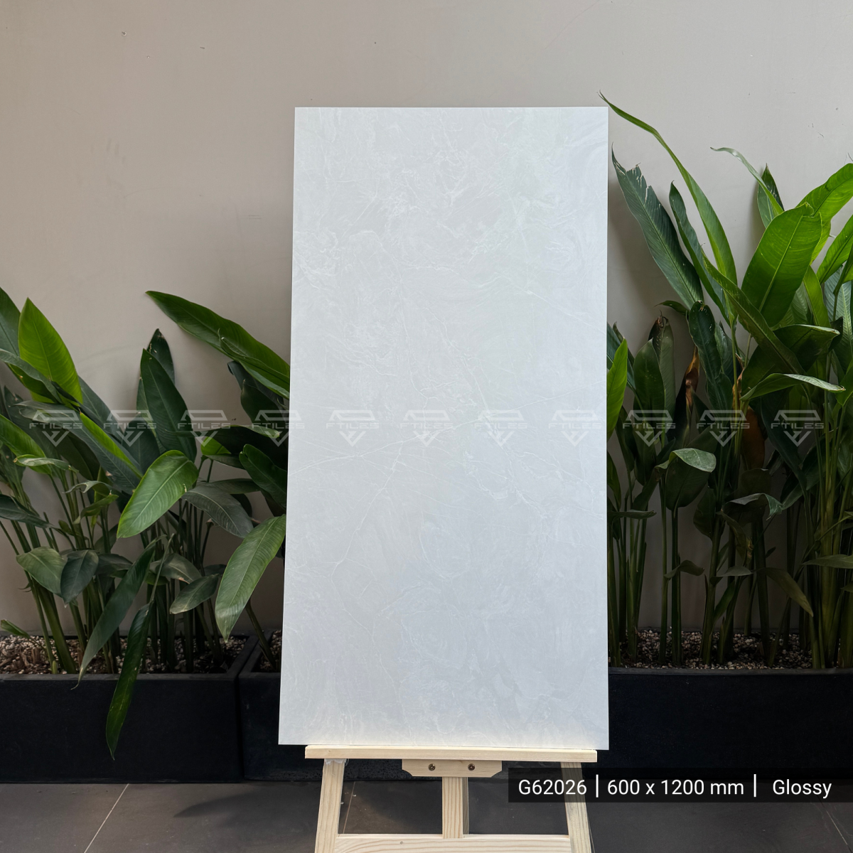 FTILES 600X1200 CAROLINA GREY G62026