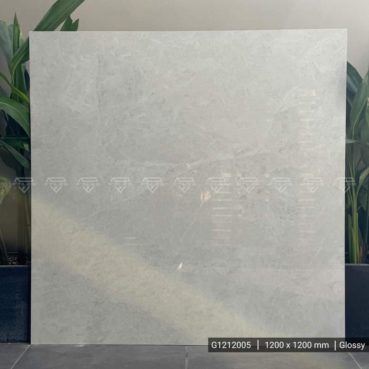 FTILES 1200X1200 MOON WHITE G1212005