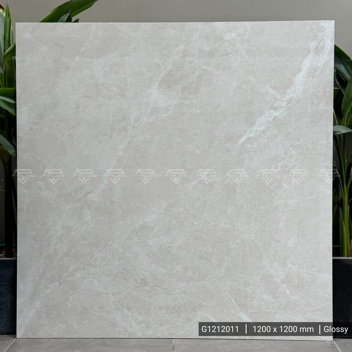 FTILES 1200X1200 Covadonga Beige G1212011