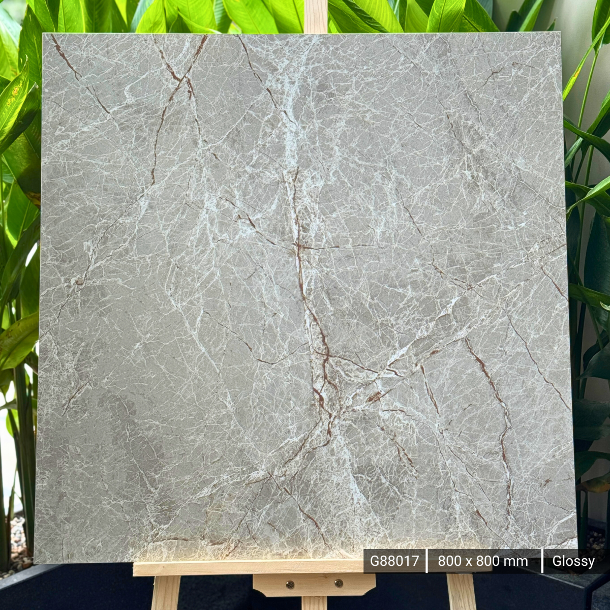 FTILES 800X800 SPREDA GREY  G88017