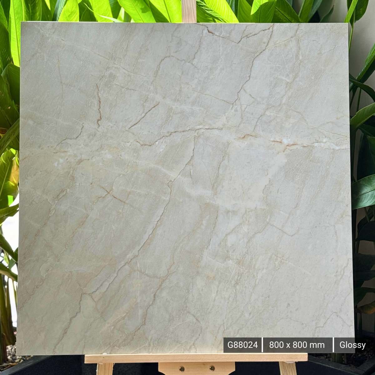 FTILES 800X800 DIOR BEIGE G88024