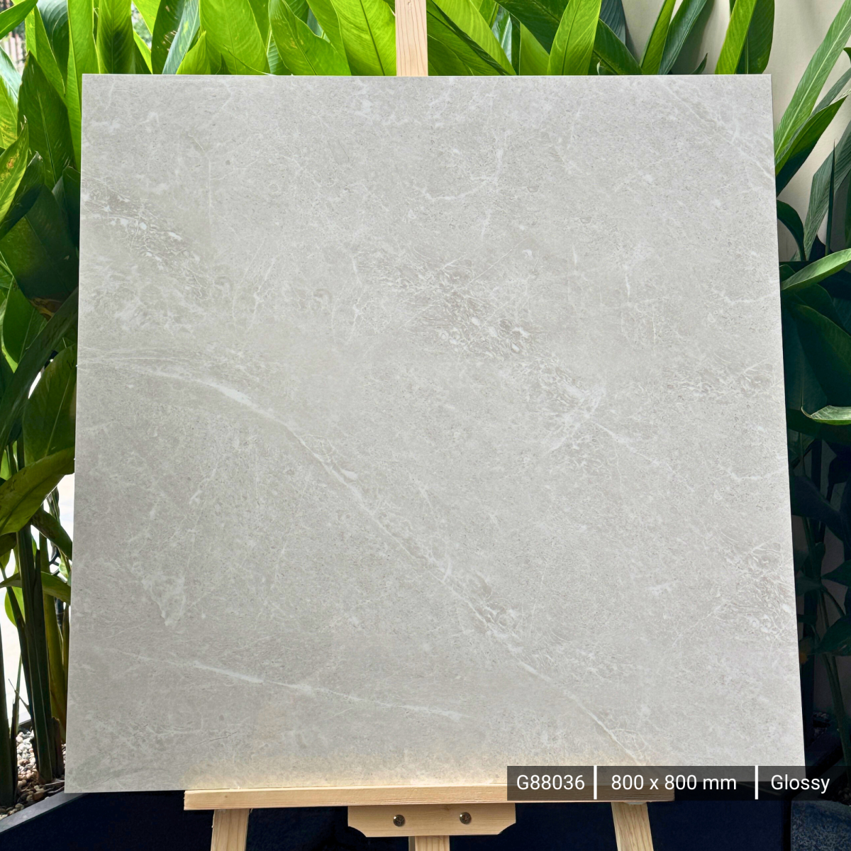 FTILES 800X800 DOLOMIA GREY G88036