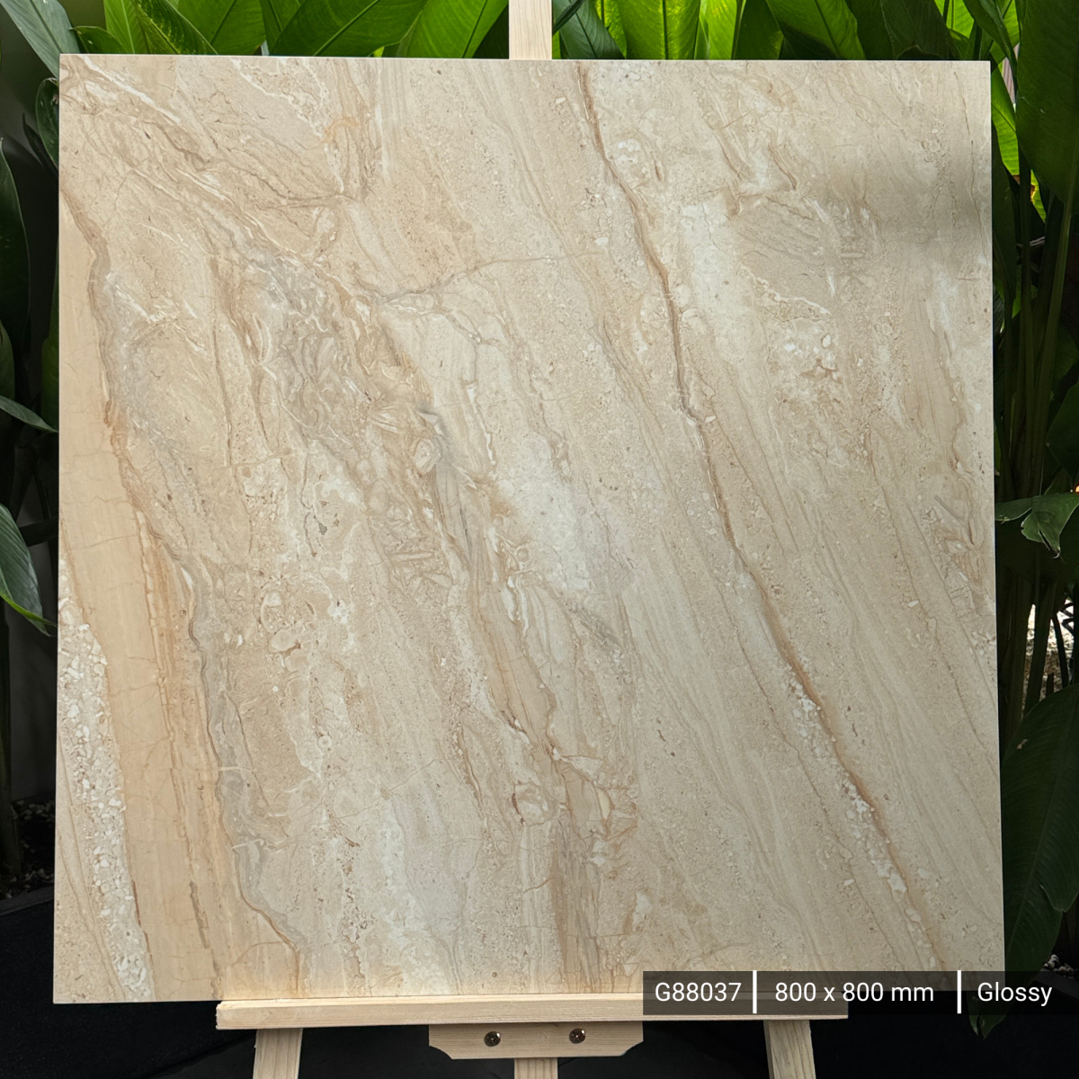 FTILES 800X800 DYNA FANTASTICO G88037