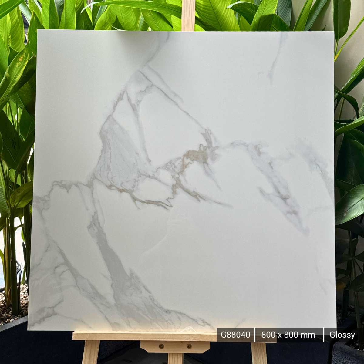 FTILES 800X800 PRIMAVERA WHITE G88040