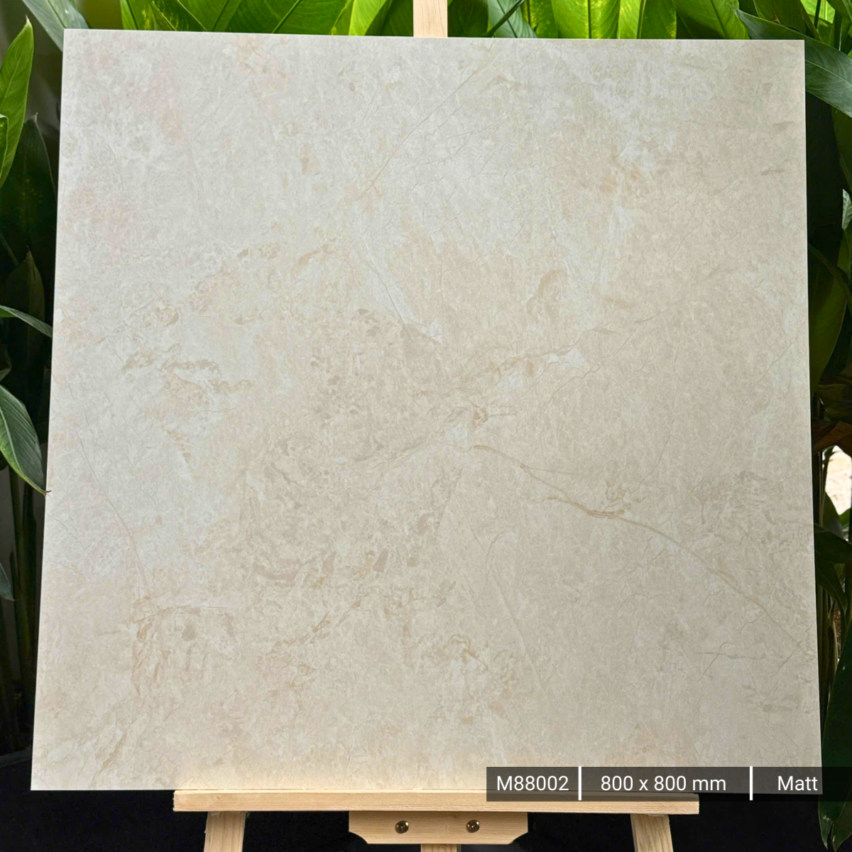 FTILES 800X800 INDICA BEIGE M88002
