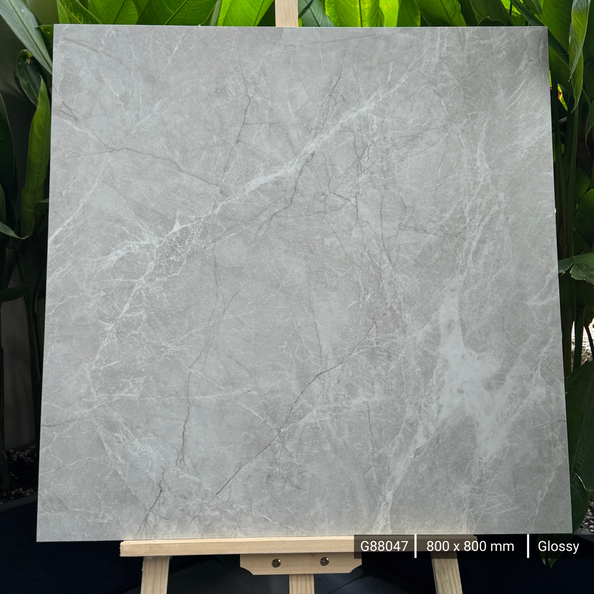 FTILES 800X800 STROME PINE   G88047