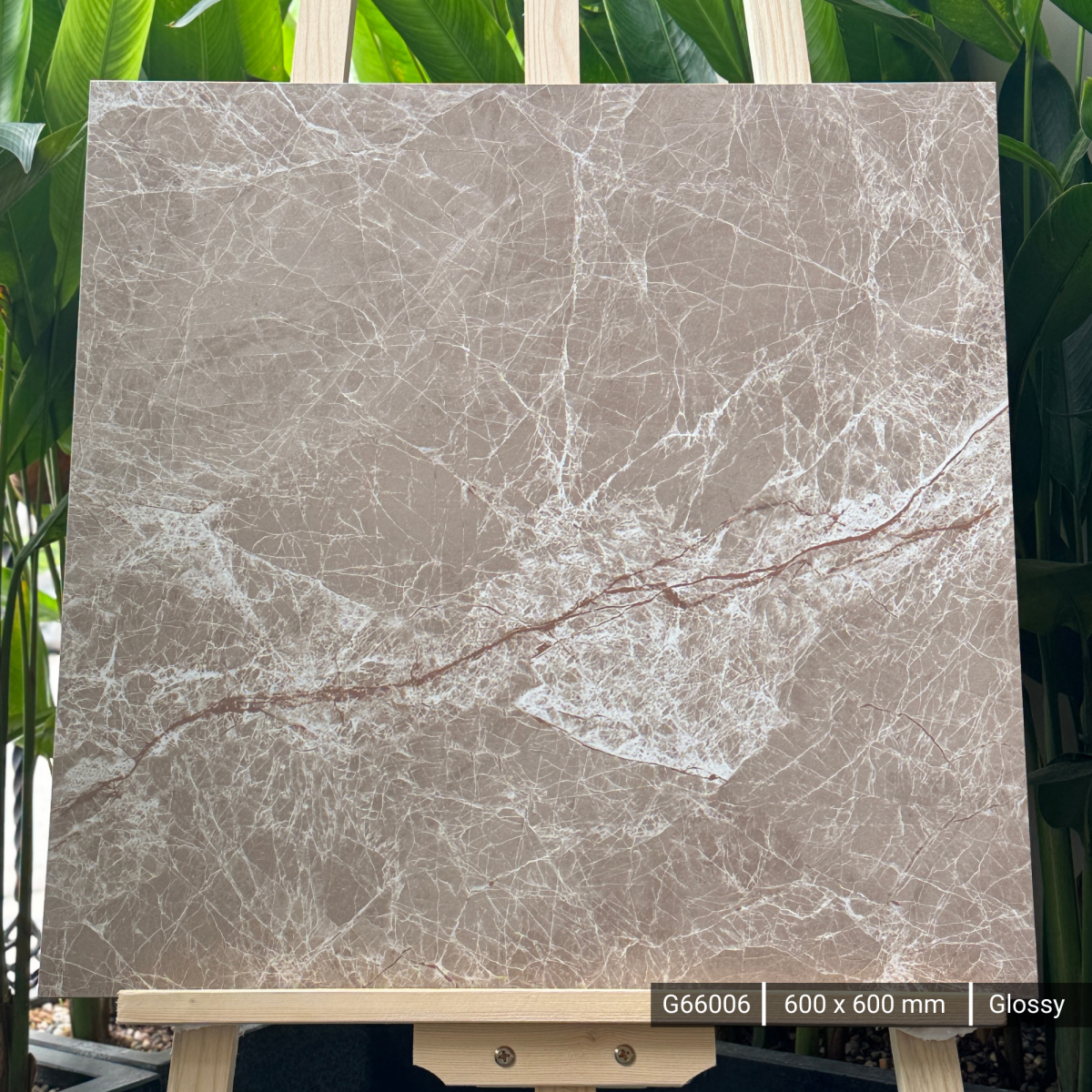 FTILES 600X600 ESPRADA BROWN  G66006