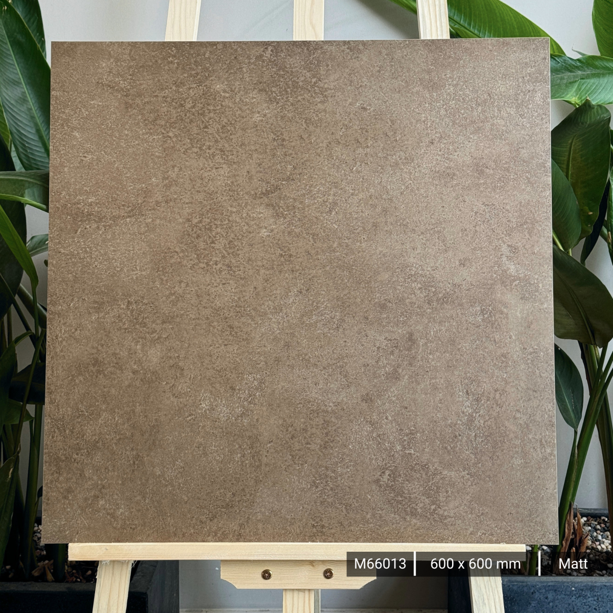 FTILES 600X600 ASTA BROWN M66013