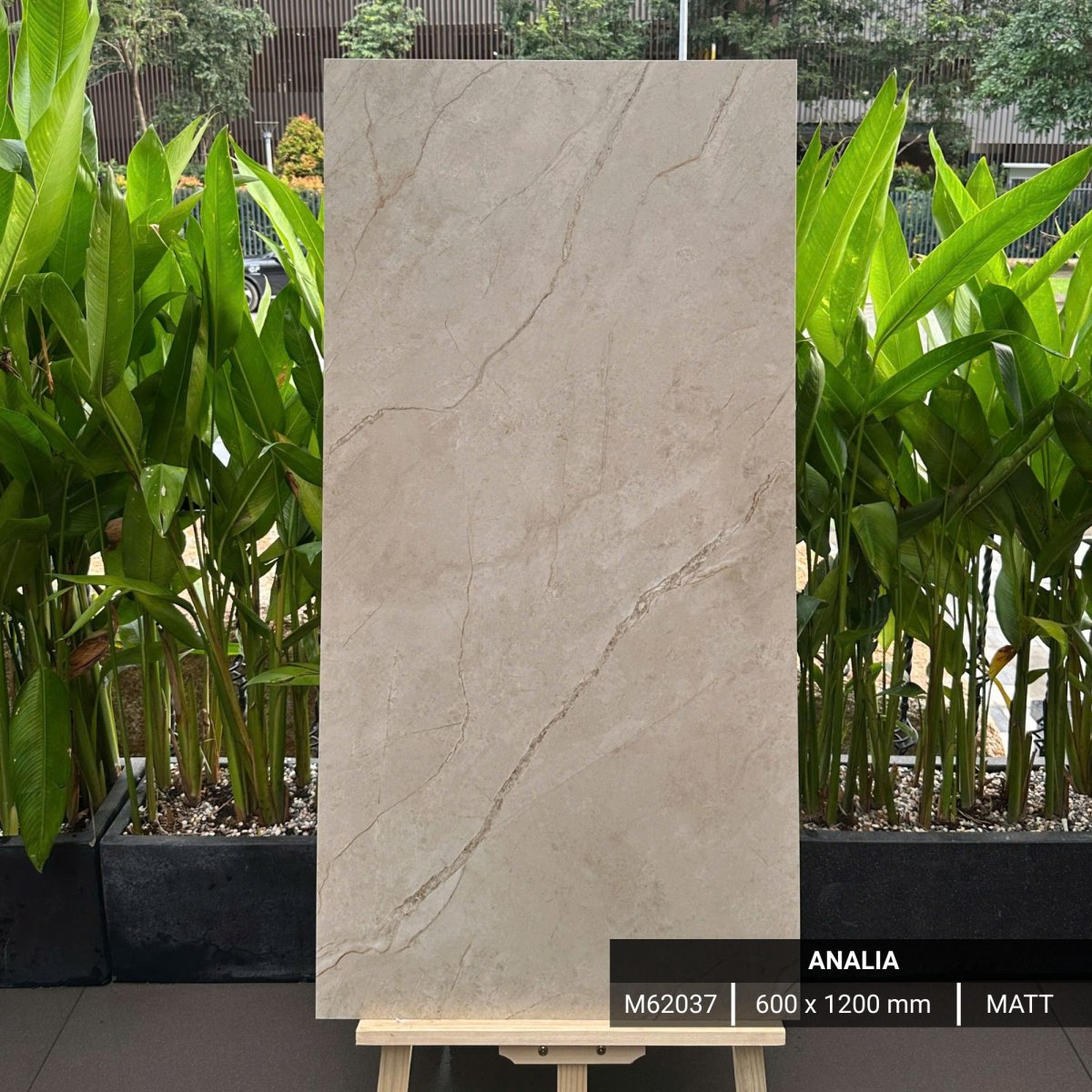 FTILES 600X1200 ANALIA M62037