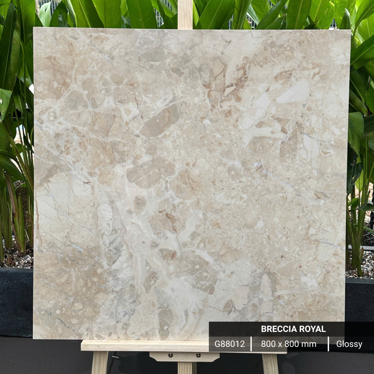 FTILES 800X800 BRECCIA ROYAL  G88012